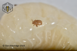 DSC_2065_scale
